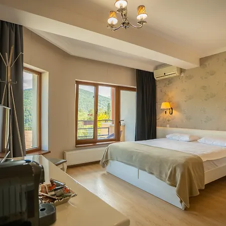 Opus View-2